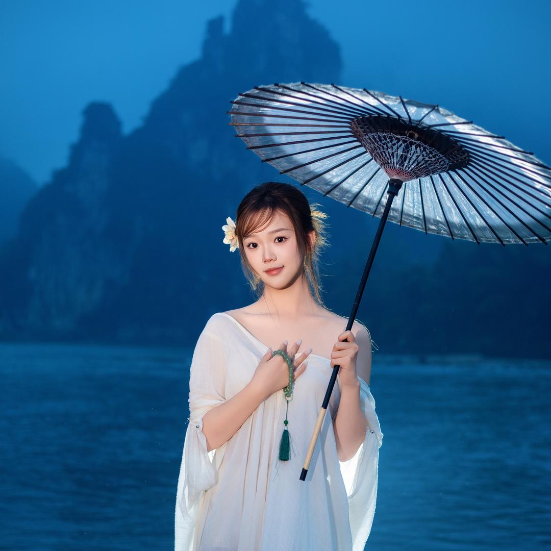 小野鹭