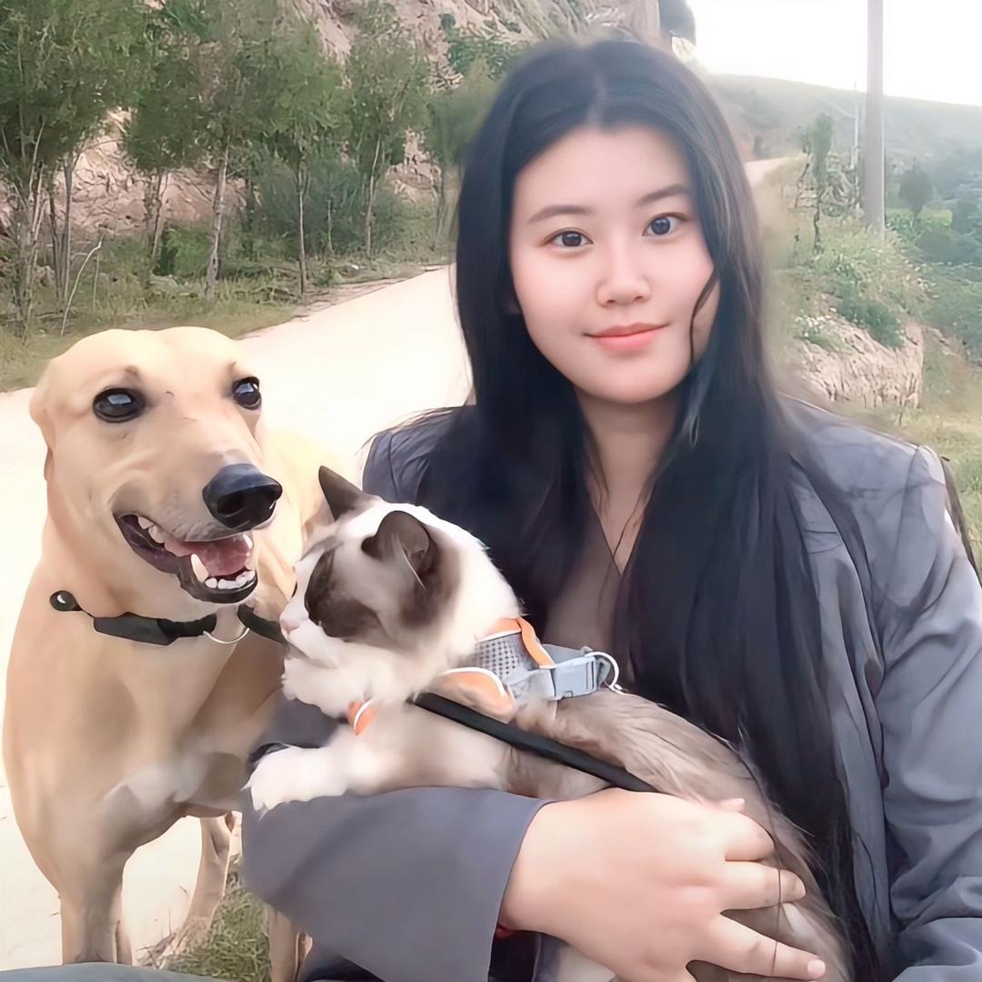小张和一堆奶牛猫🤪