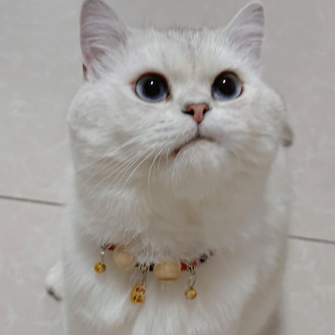 美好事情发生在夏天