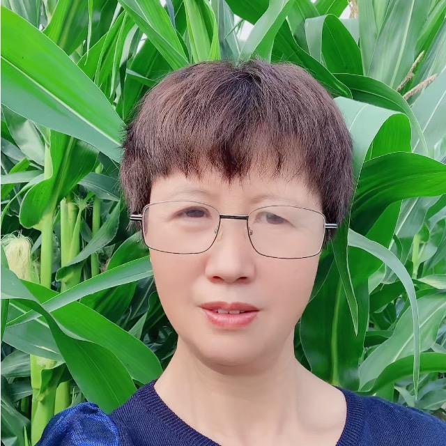 菊花姐