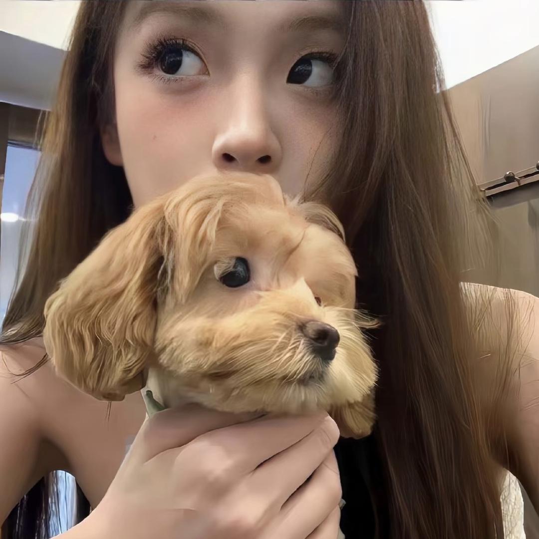 Q-Q