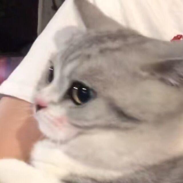 花海