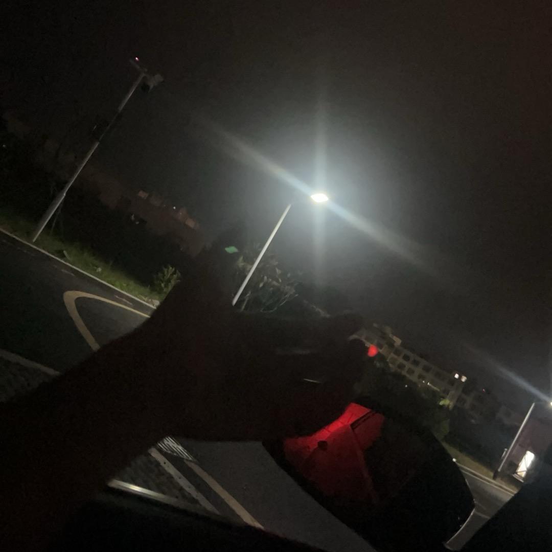 潮去鲸落，雾气藏于心