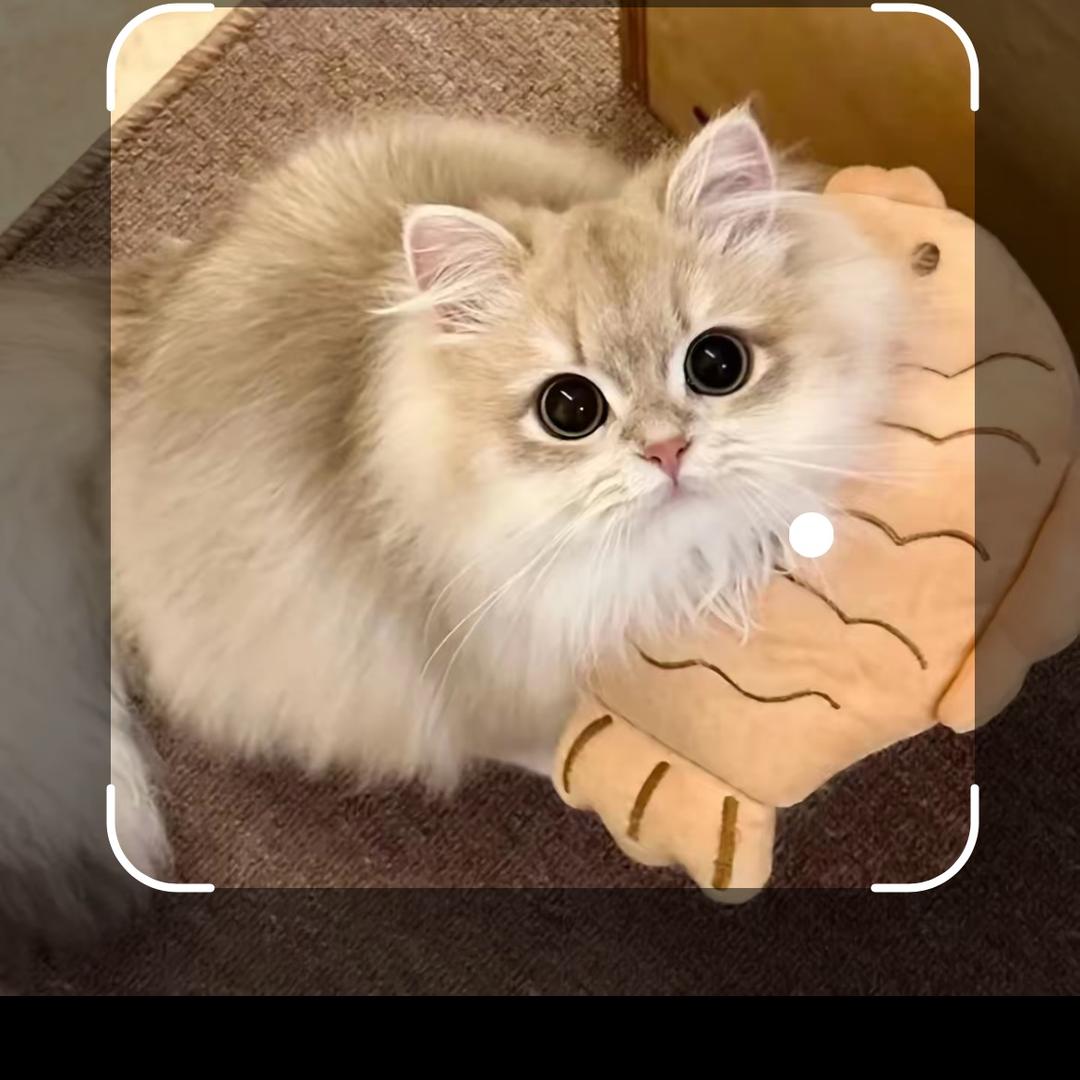 味蕾上的小惊喜