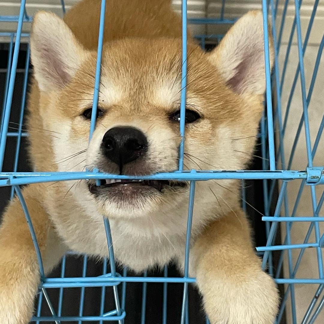 他说我好烦