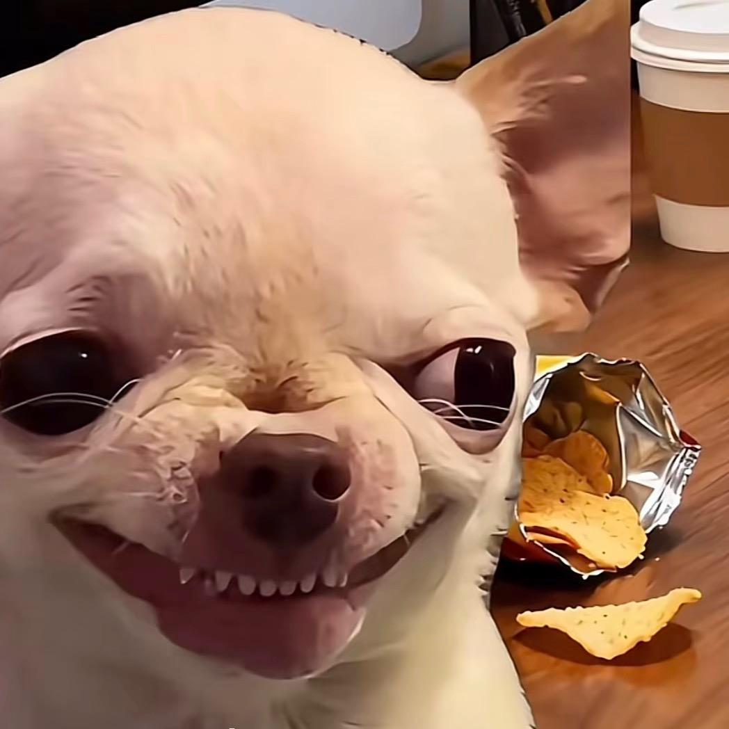 鱼丸丸丸酱🐟🐷