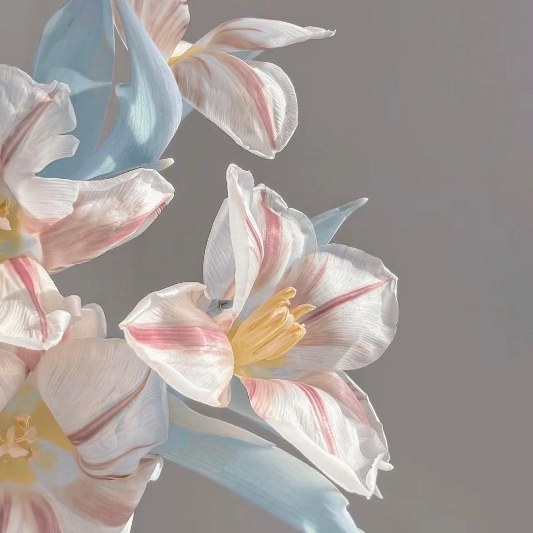 志义百货丽人個护