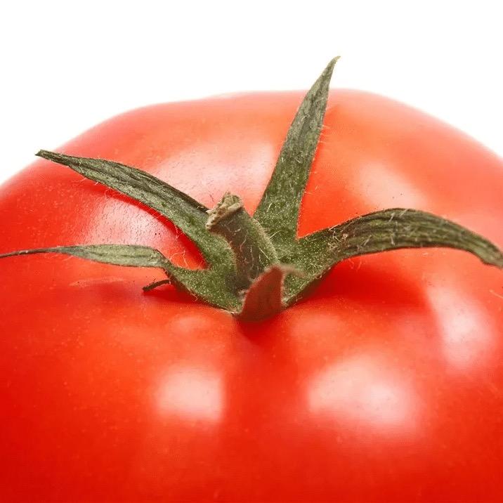 英勇的超级番茄