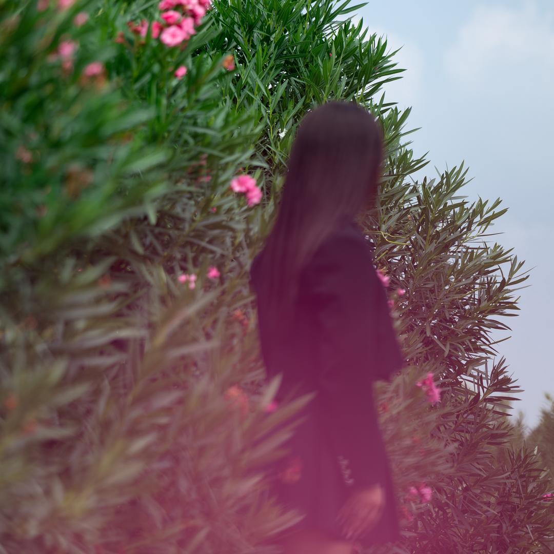 𝓛、