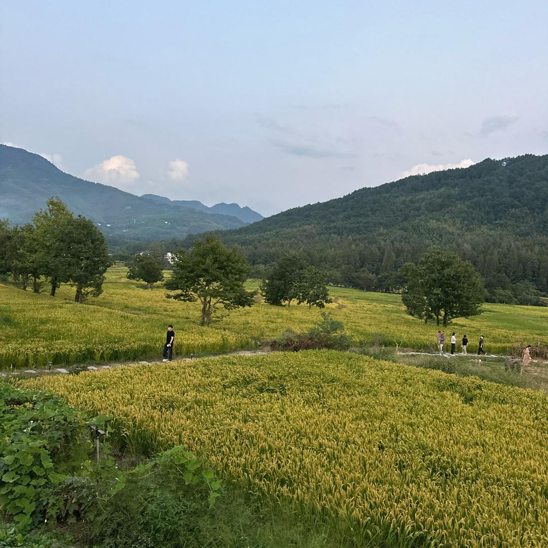 此后人间多宽敞