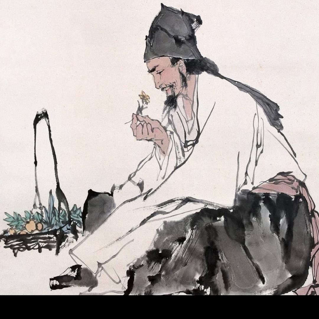 亳州中药材白芍芽，牡丹苗，赤芍苗