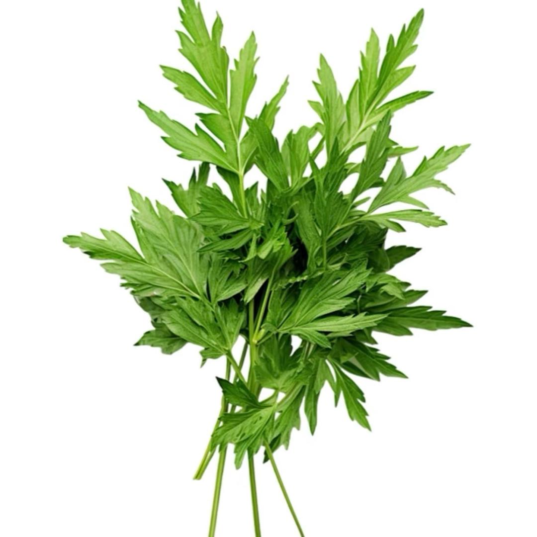 瑞岁富源开