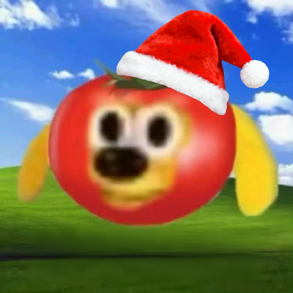 熊柿观察站（八不郎下岗中）