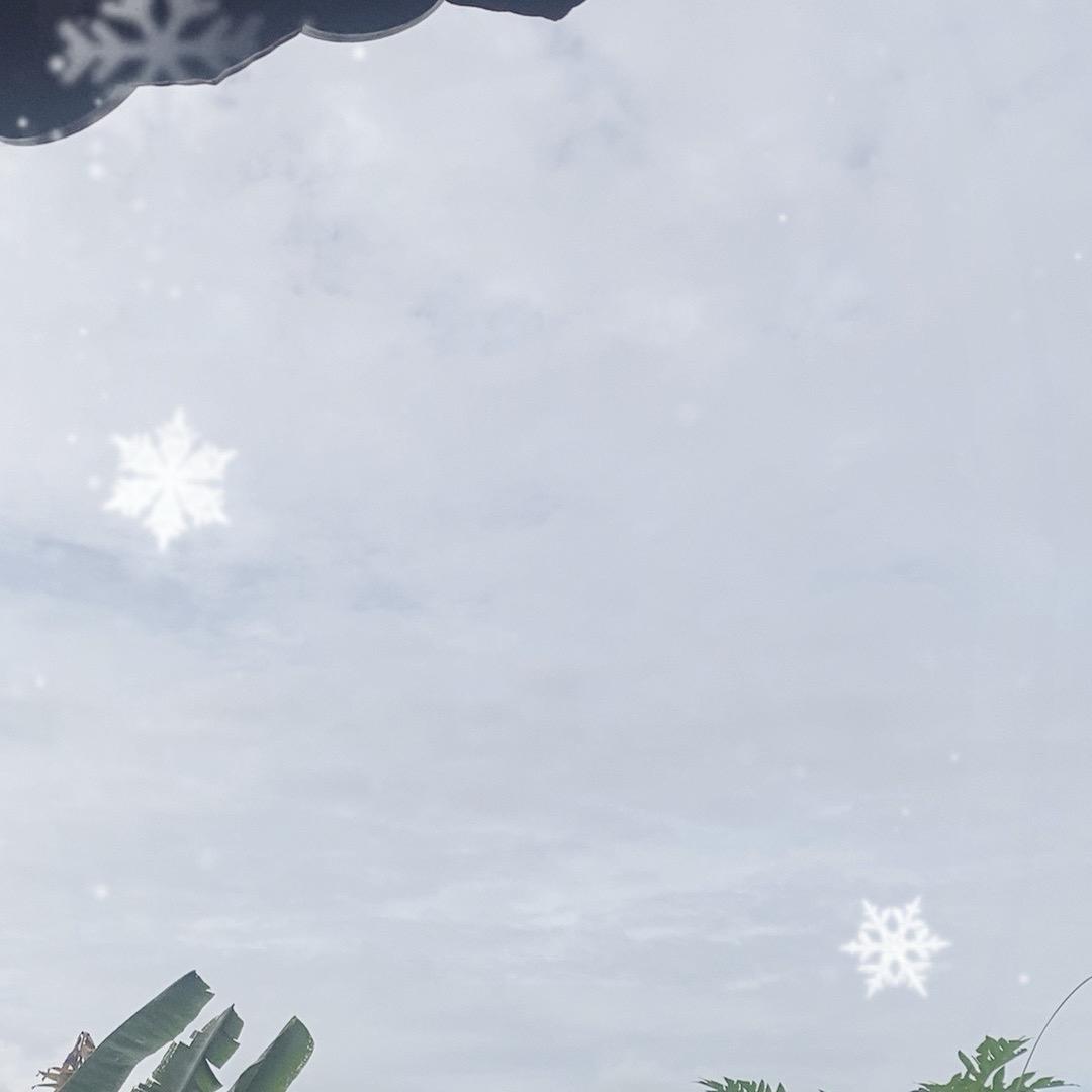 花格子酒吧订台小安