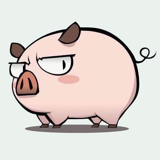 富贵的小胖猪🐷
