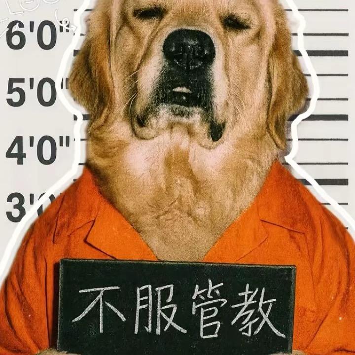 离婚带俩娃（马上带第三个）