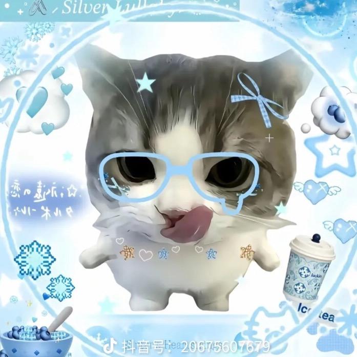 悲伤小猫头像