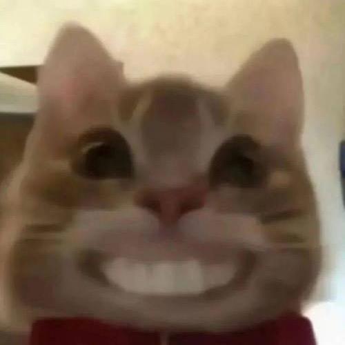 蛋宝