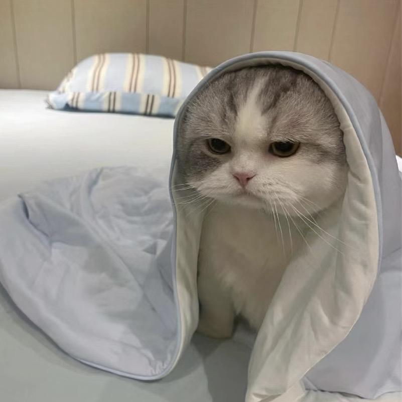 千千洁呀