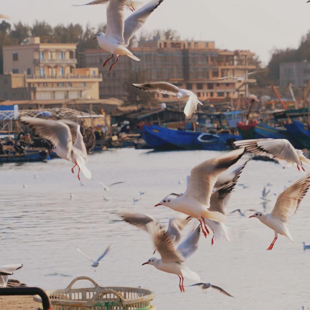 荣益达生鲜优选