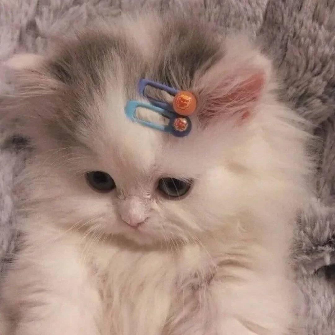 Balabalababababba