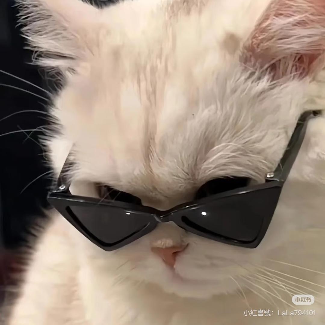 小y