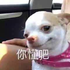 重生之前男友是同为爱而性转