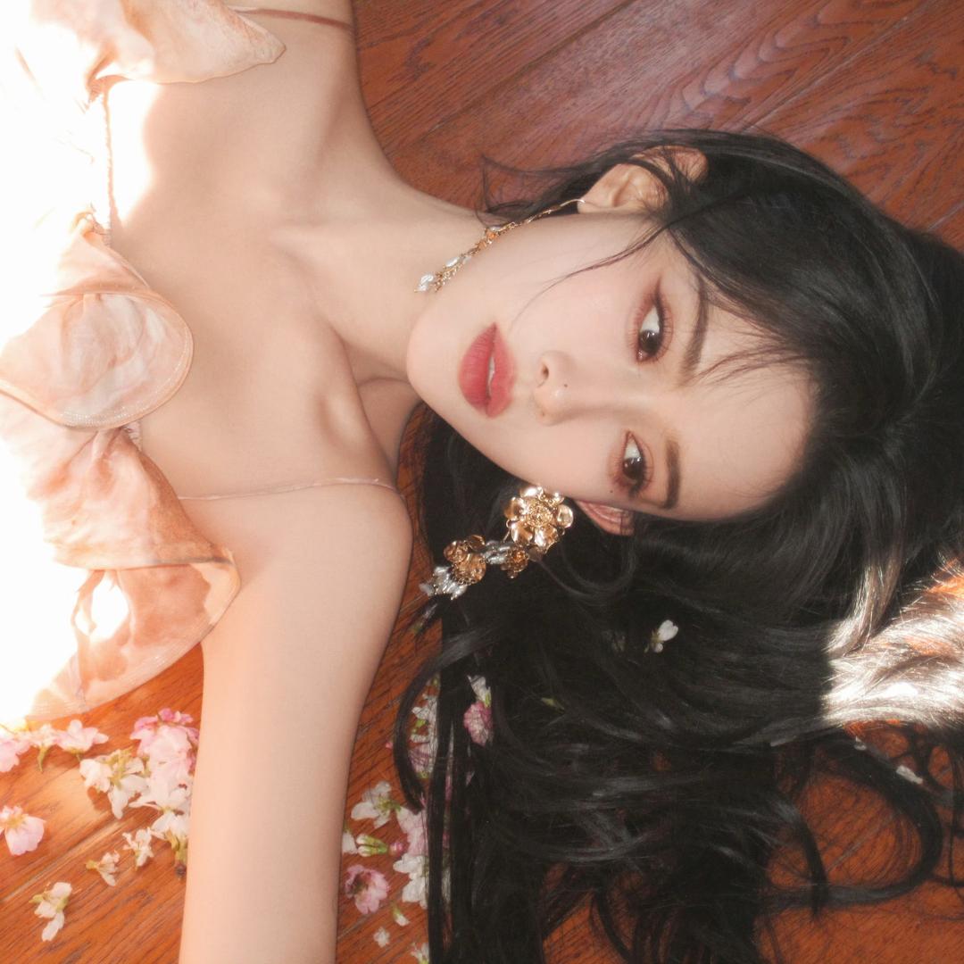 上海刘亦菲🌙