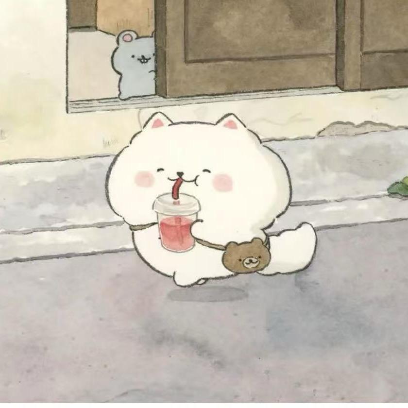 卷心菜四季青代购