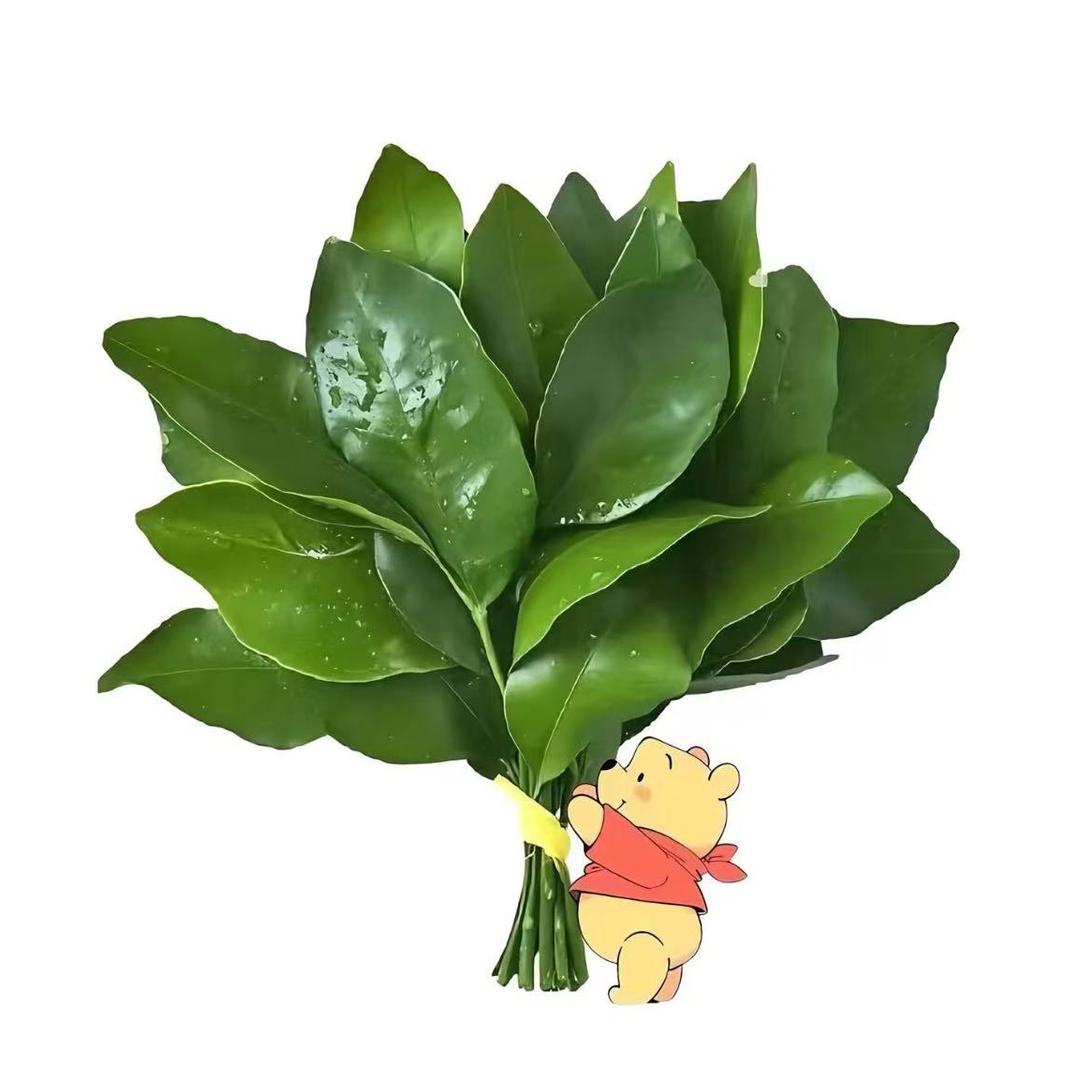 zZ