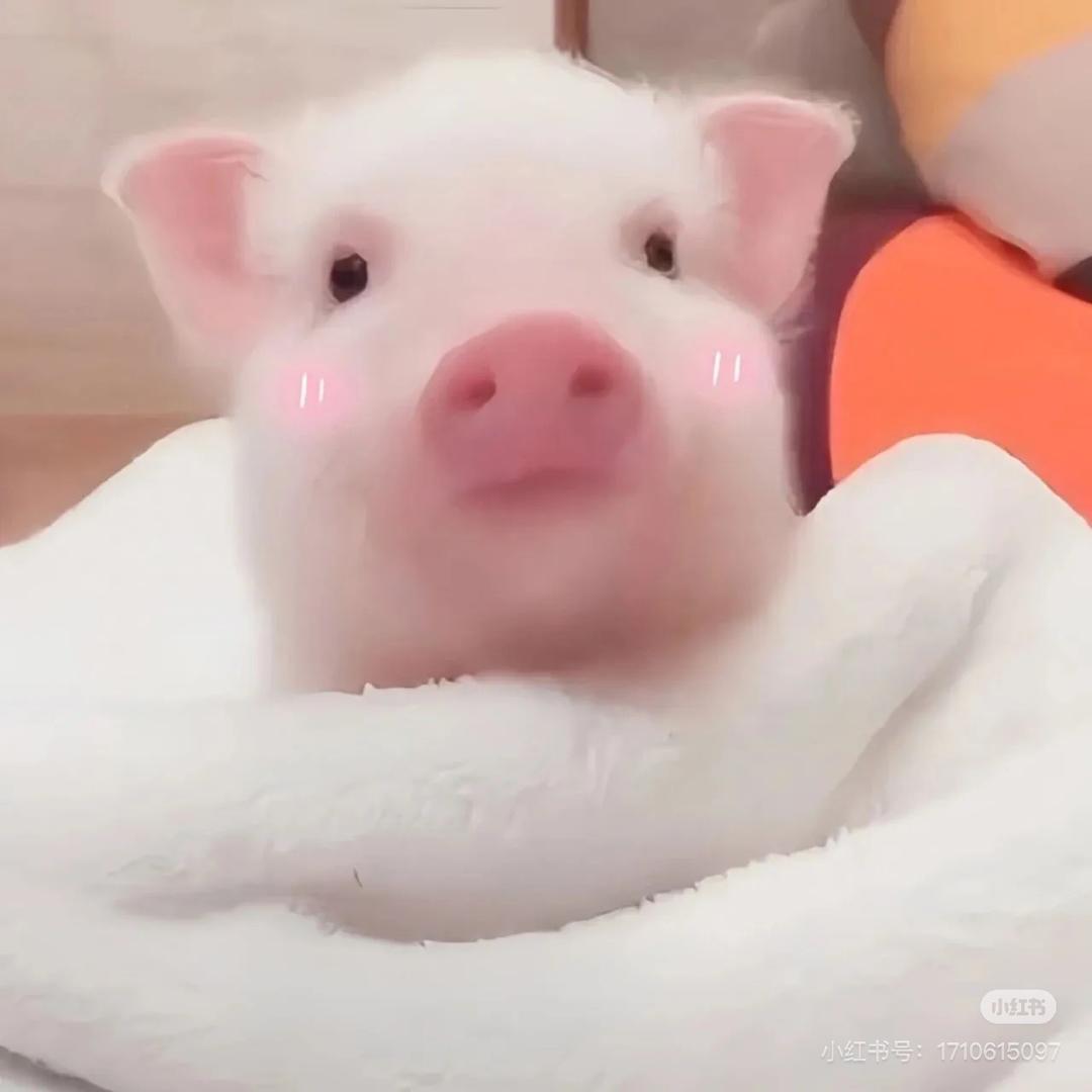 雅俗