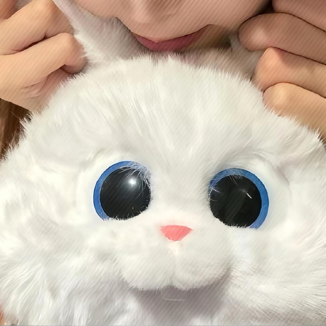 九片海.