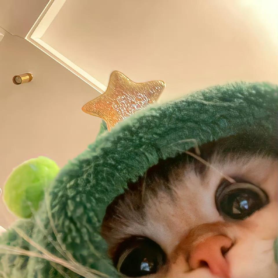 是老黑啊.