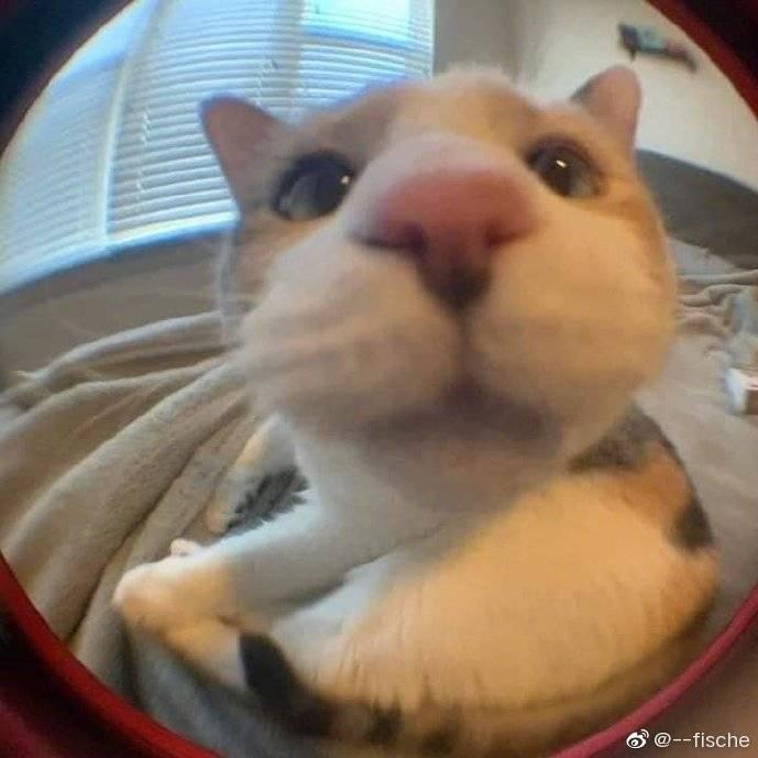 辜负真心的人会被惩罚