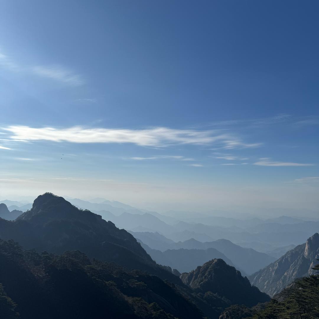 重生之我在老家栽花生