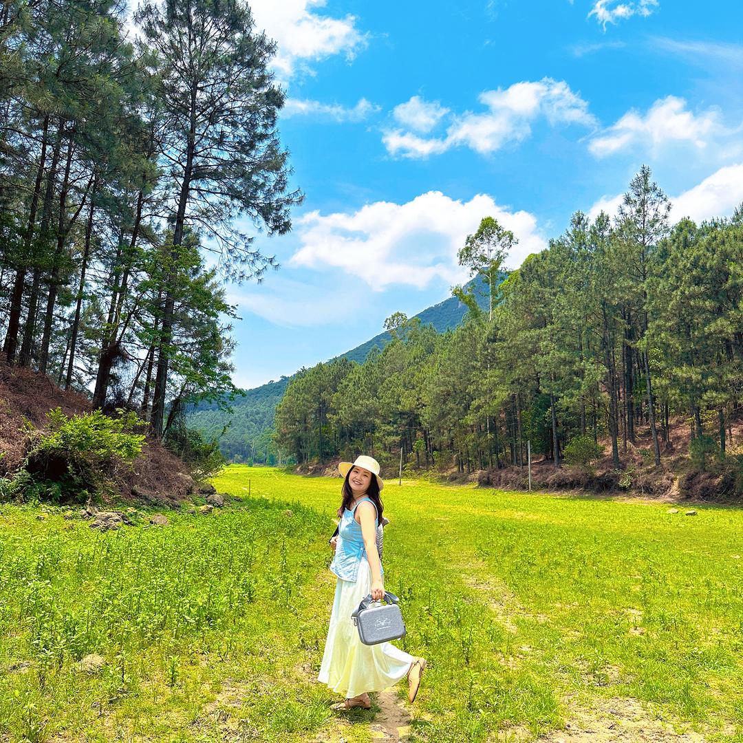 宗宗带你看佛山