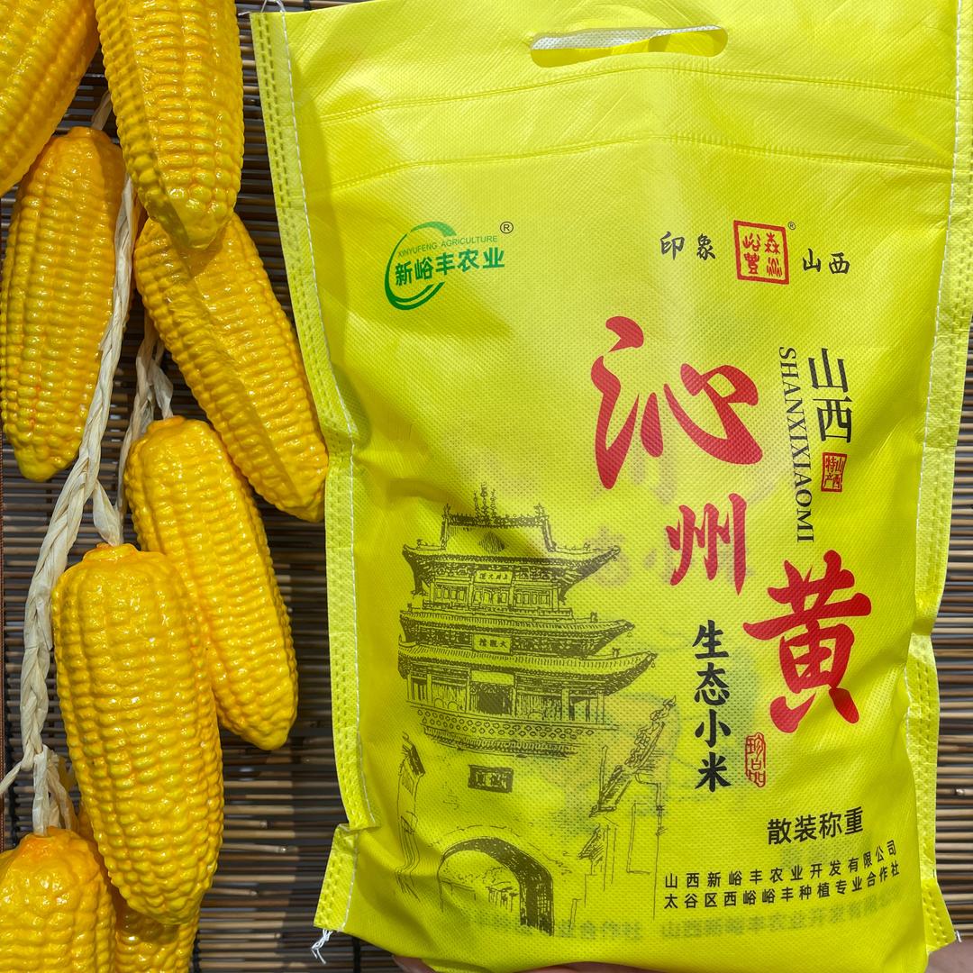 太行粮农琴琴