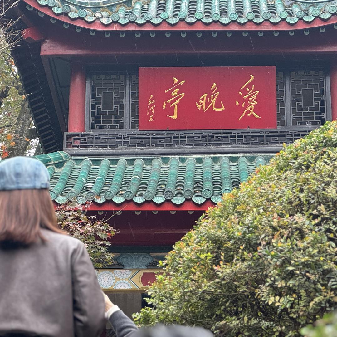 一次性手套严选坊