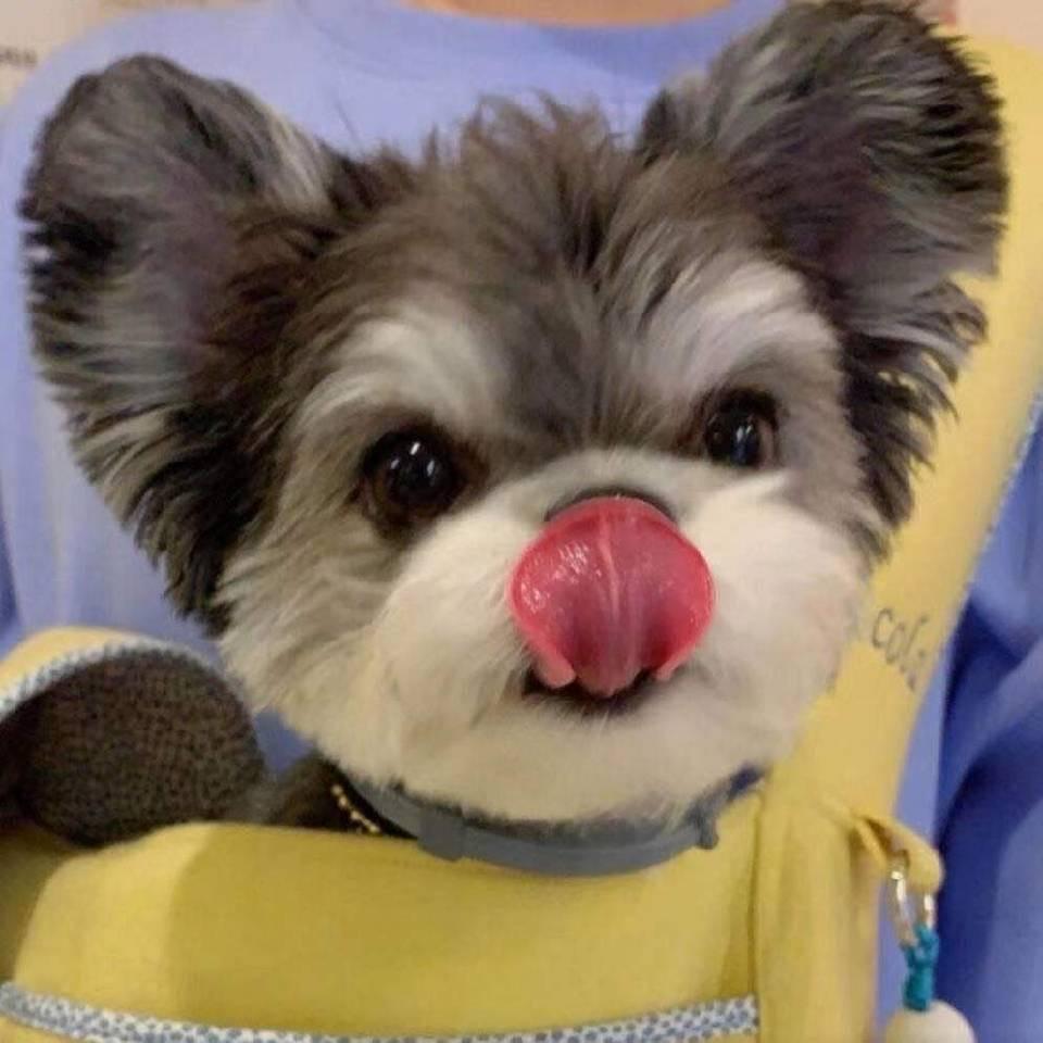 头上长犄角💗背后有尾巴