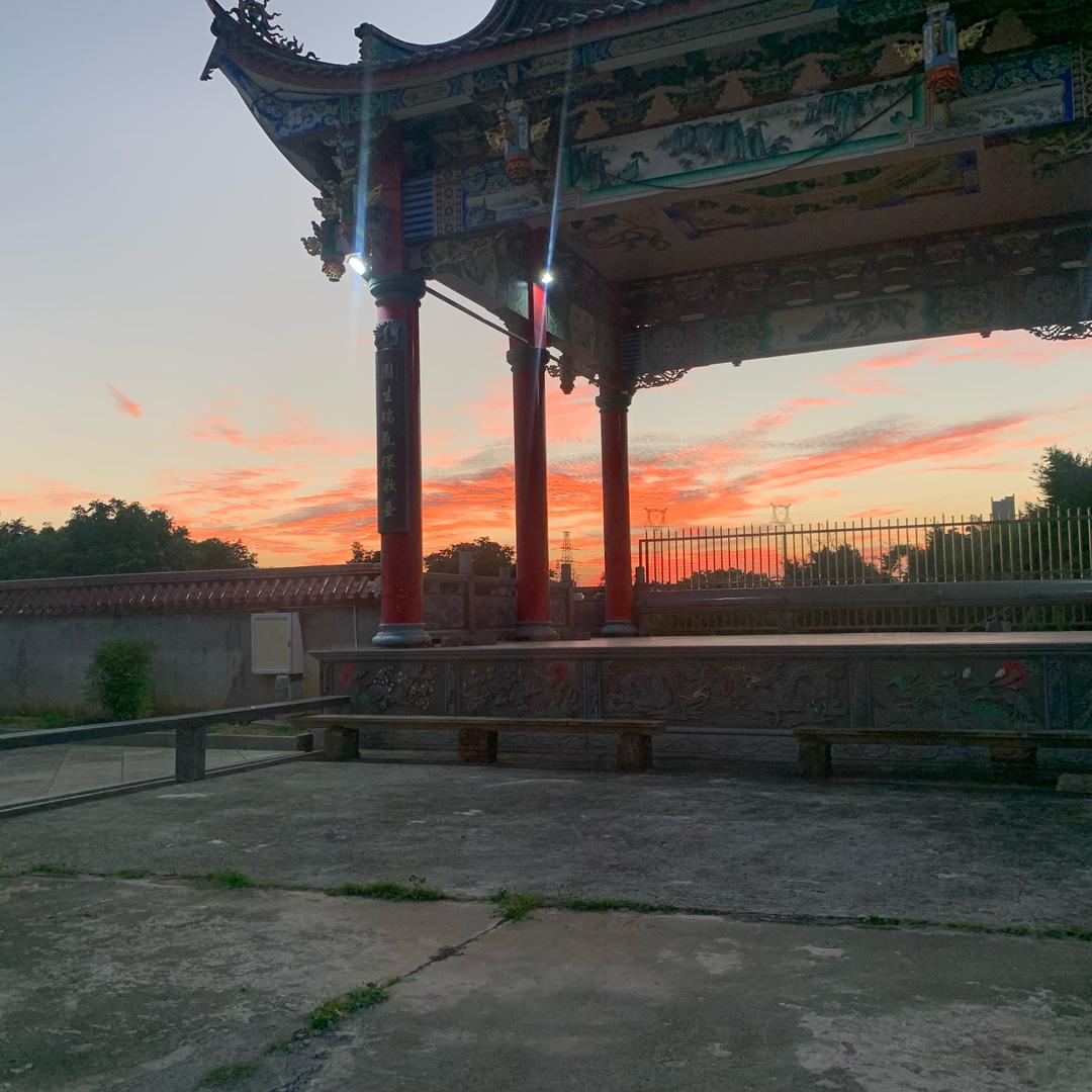 不爱跳舞的鸡