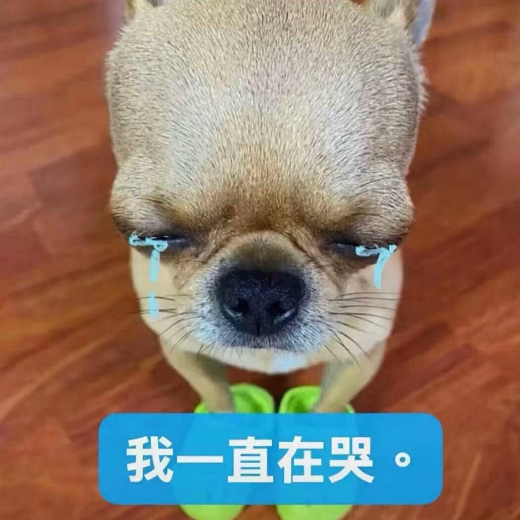 混过社会卖过萌