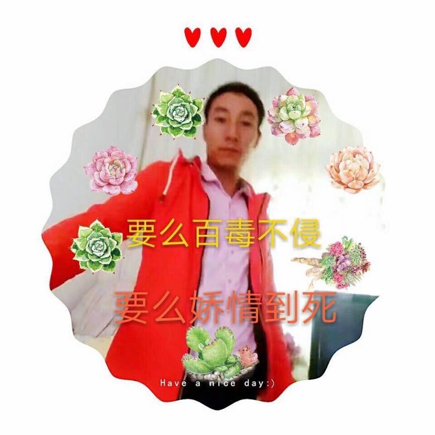 ༻꫞꧂ 西北狼 ༻꫞꧂