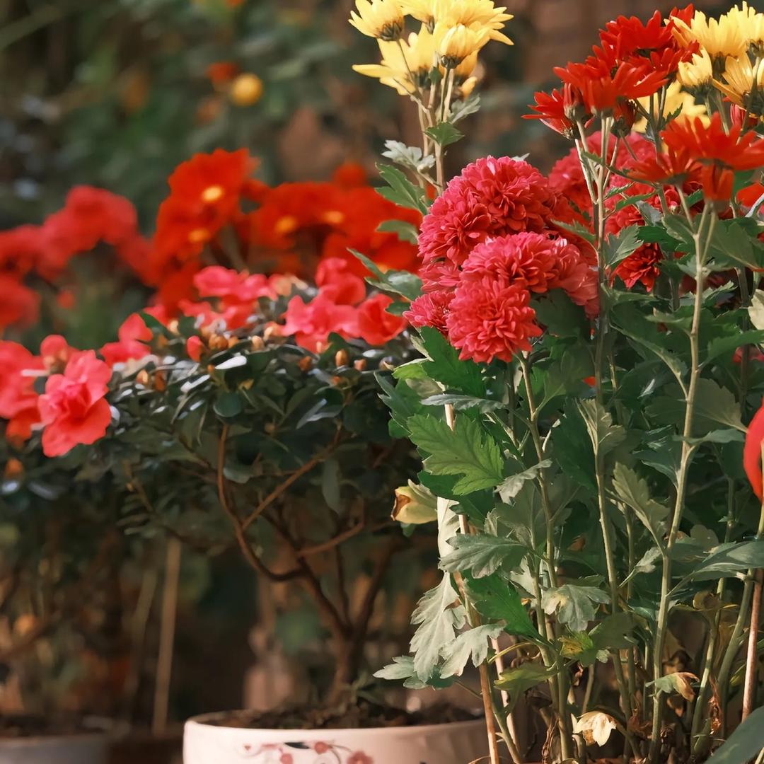 罗定市瑞祥食品商行