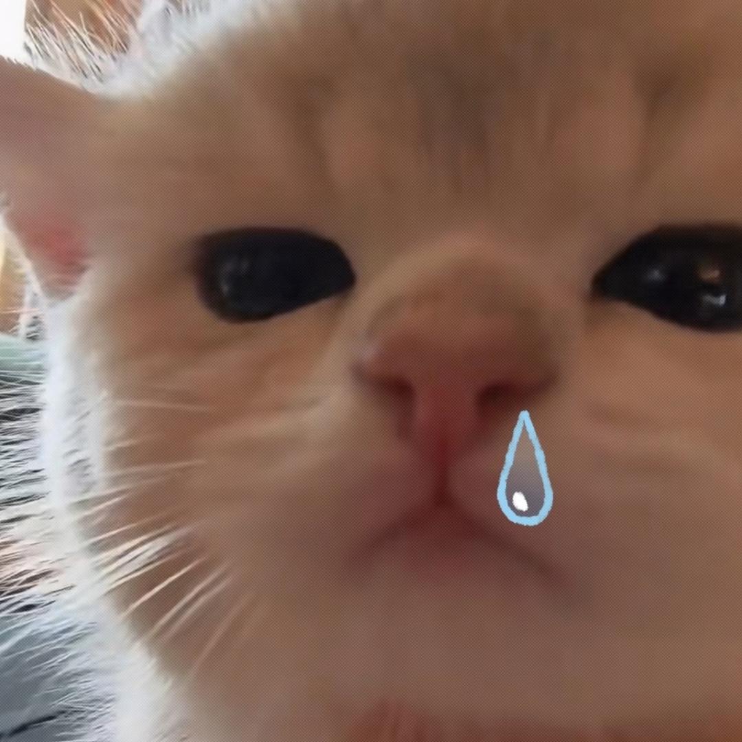 ⦁֊⦁꧞
