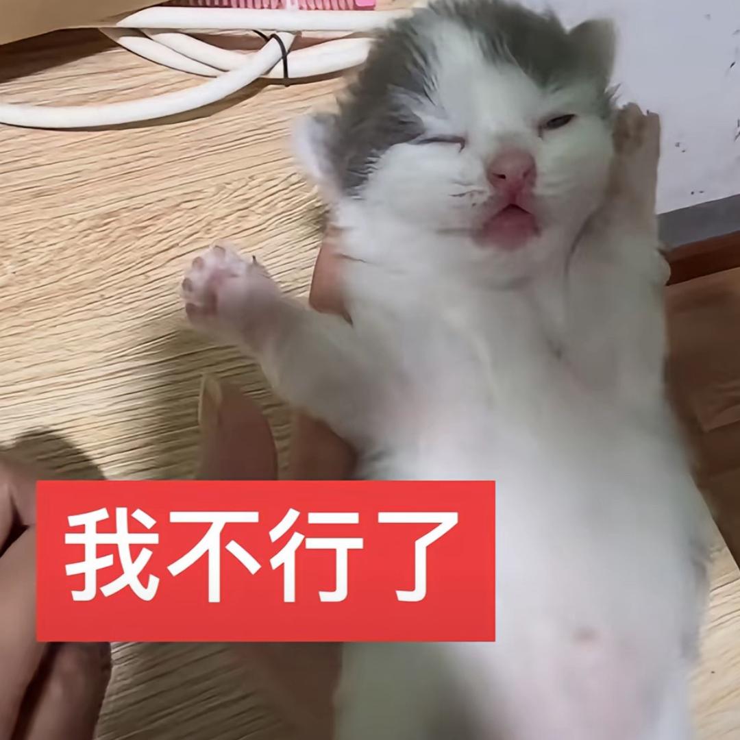 Ss