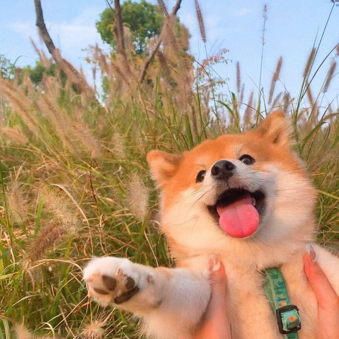 董同学.