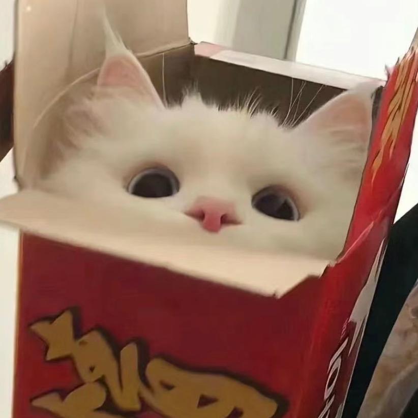 八十岁摇滚辣妹