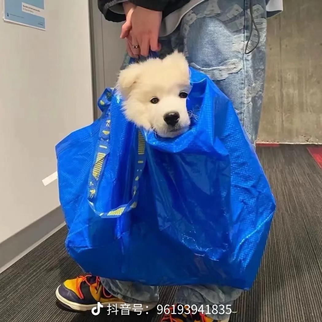 雾径