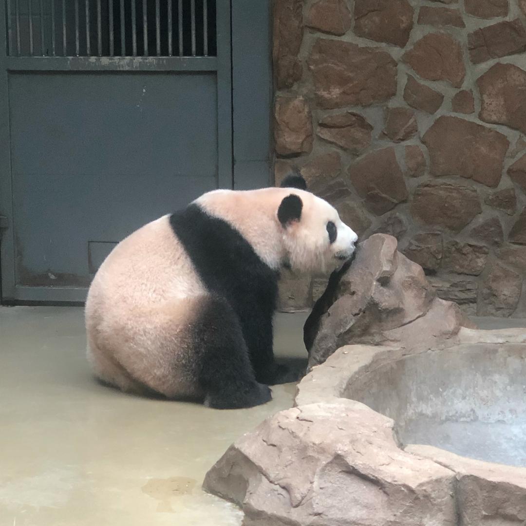 破坏第一名头像