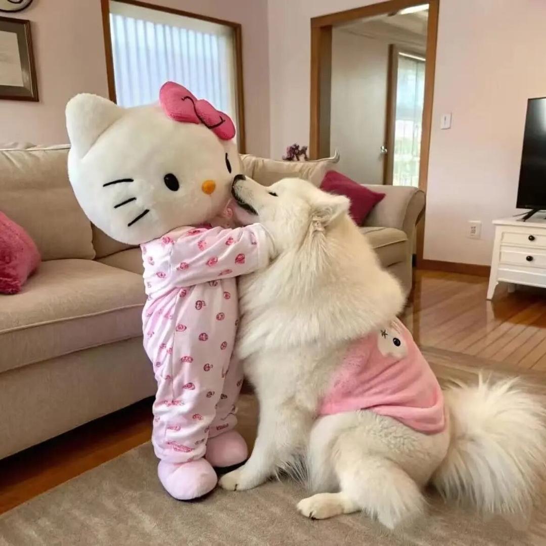 🍧 ෆ小魚冻干